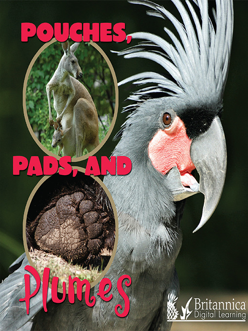 Title details for Pouches, Pads, and Plumes by Lynn M. Stone - Available